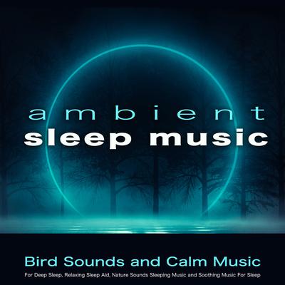 Soothing Sleep Aid Music By Sleeping Music, Deep Sleep Music Collective, Relaxing Music For Sleeping's cover