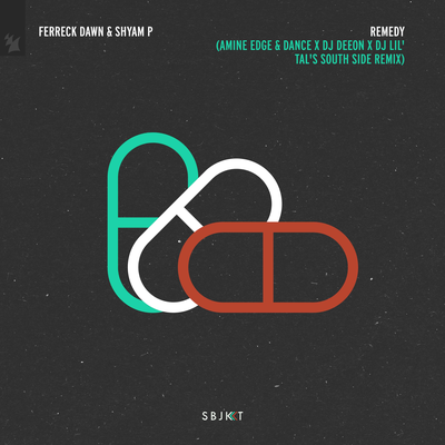 Remedy (Amine Edge & DANCE x DJ Deeon x DJ Lil'Tal's South Side Remix) By Ferreck Dawn, Shyam P's cover