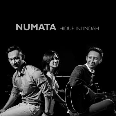 Numata's cover