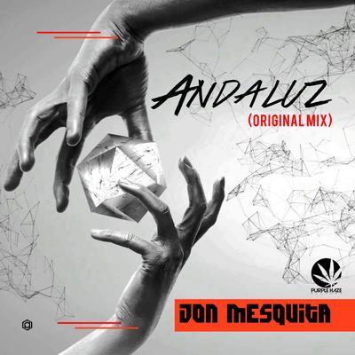 Andaluz (Original Mix) By Jon Mesquita's cover