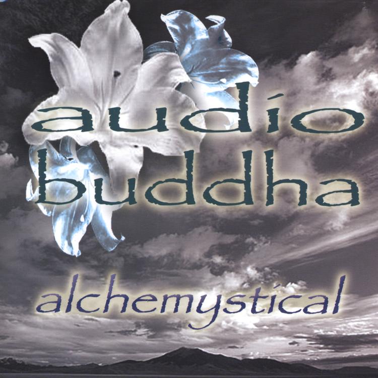 Audio Buddha's avatar image