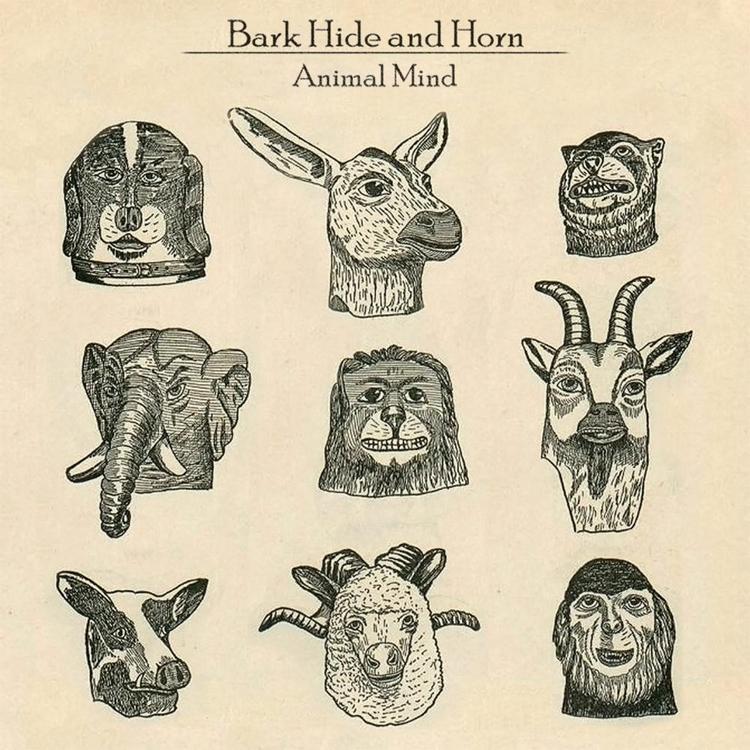 Bark Hide and Horn's avatar image
