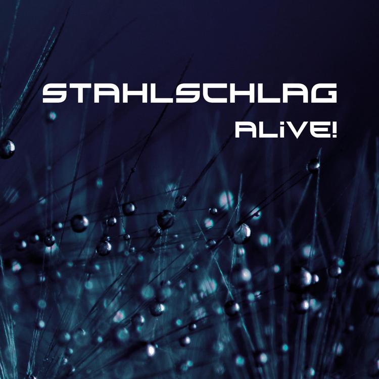 Stahlschlag's avatar image