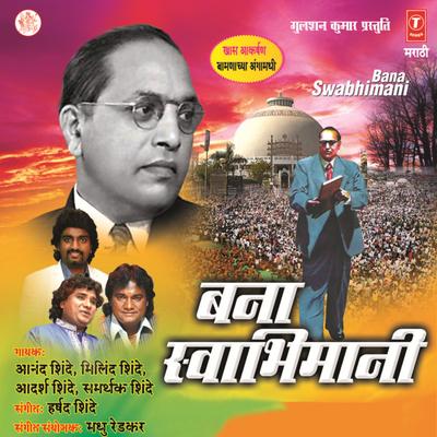 Samarthak Shinde's cover