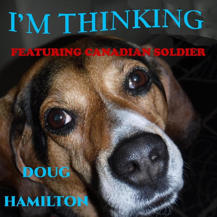 Doug Hamilton's avatar image