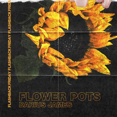 Flower Pots By Darius James's cover