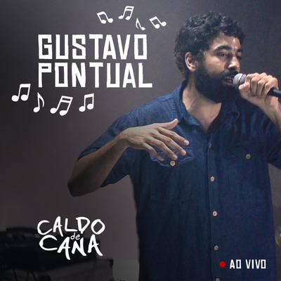 Pássaro Que Voa (Ao Vivo) By Gustavo Pontual's cover