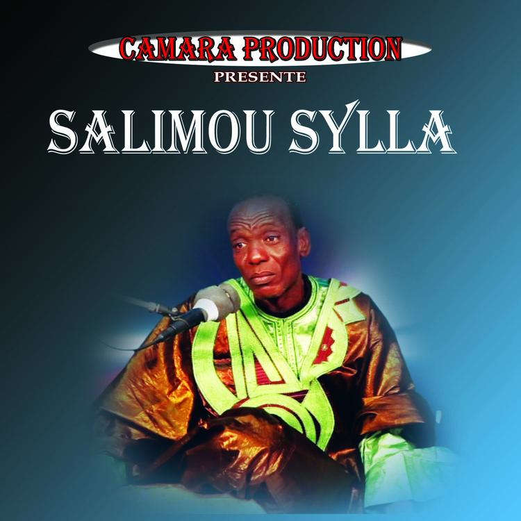 Salimou Sylla's avatar image