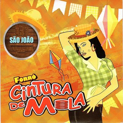 Carminha (Ao Vivo) By Forró Cintura de Mola's cover