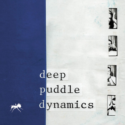 The Scarecrow Speaks By Deep Puddle Dynamics's cover