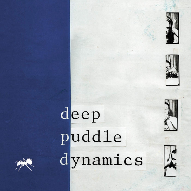 Deep Puddle Dynamics's avatar image