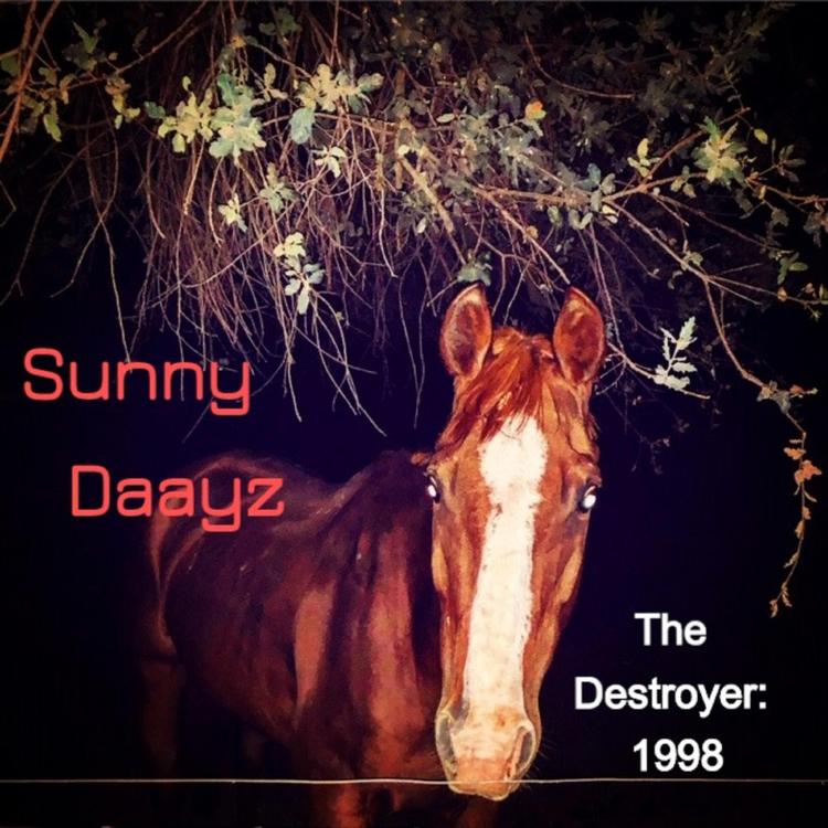 Sunny Daayz's avatar image