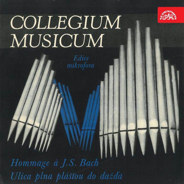 Collegium Musicum's avatar image