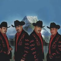 Los Canelos de Durango's avatar cover