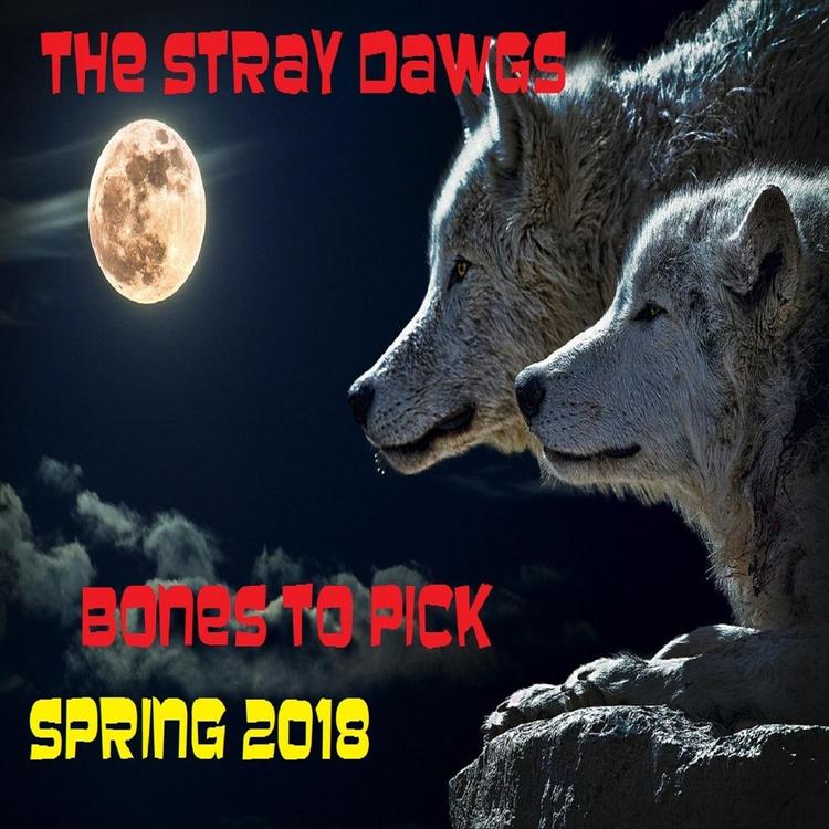 The Stray Dawgs's avatar image