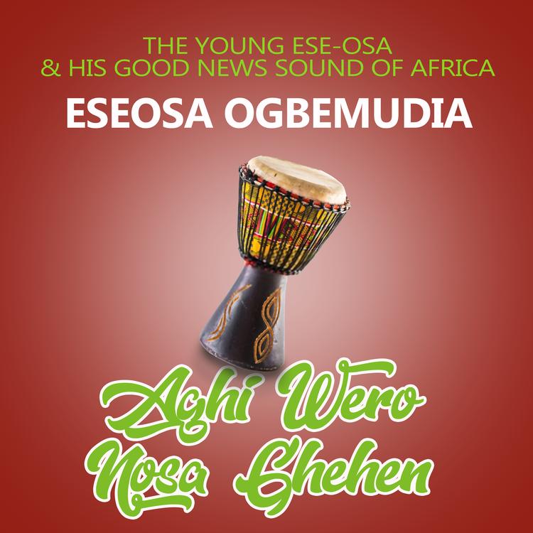 Esosa Ogbemudia's avatar image