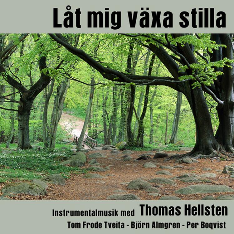 Thomas Hellsten's avatar image