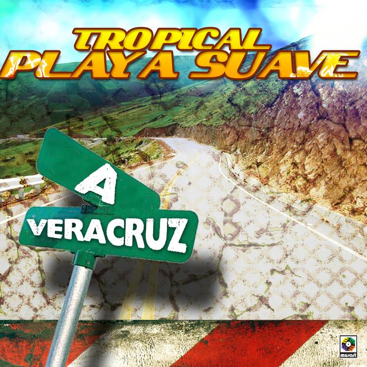 Tropical Playa Suave's avatar image