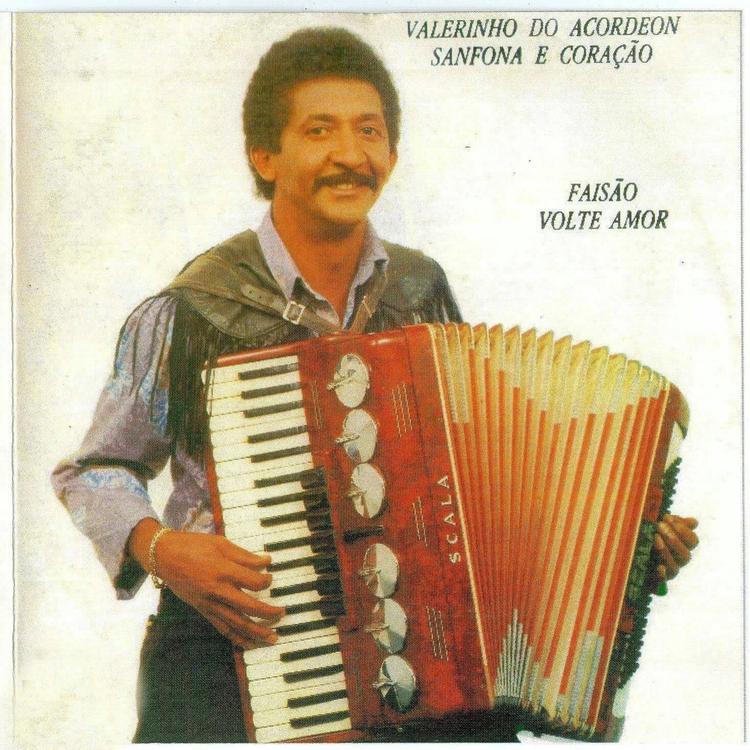 Valerinho Do Acordeon's avatar image