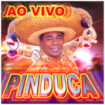 Tia Luiza, Tio José (Ao Vivo) By Pinduca's cover