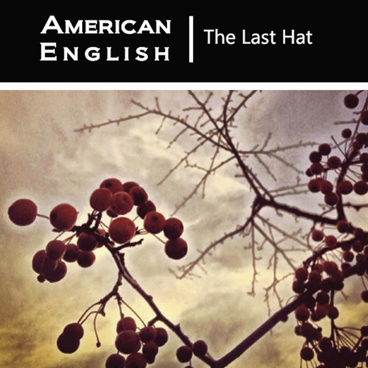 American English's avatar image