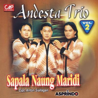 Andesta Trio, Vol. 2 (Sapala Naung Paridi)'s cover