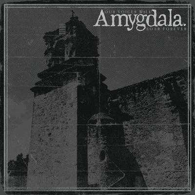 Why Can't I Heal? By Amygdala's cover