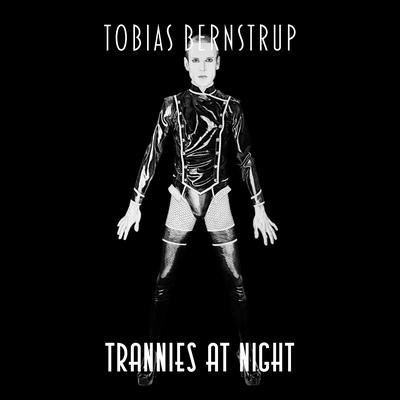 Trannies at Night 1998-2012's cover