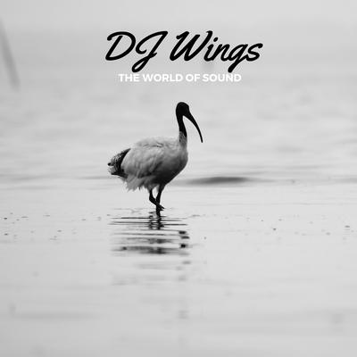 DJ Wings's cover