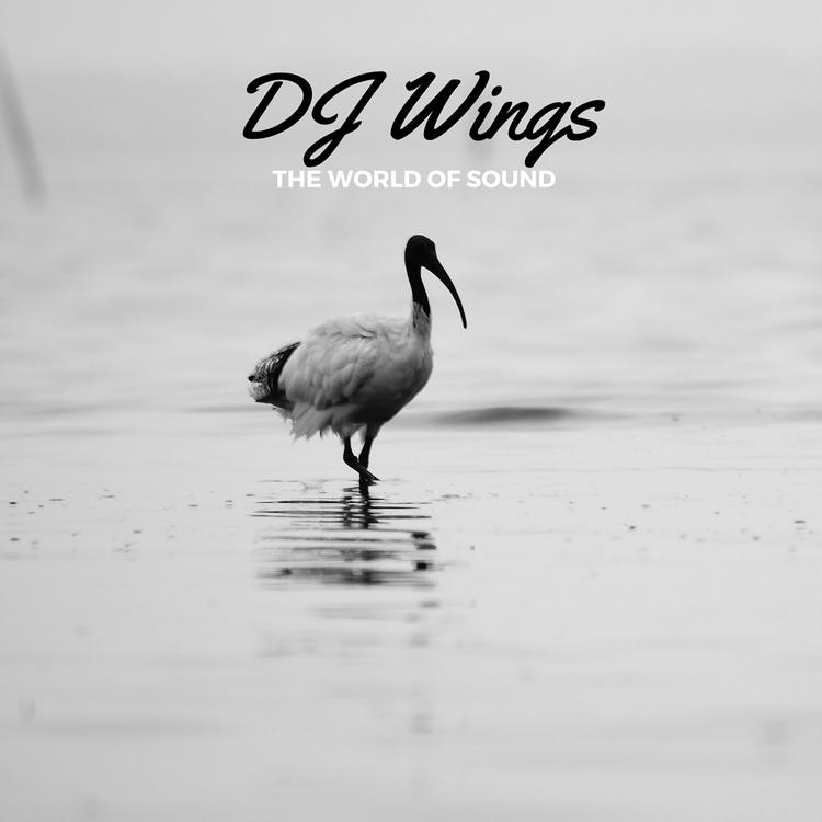 DJ Wings's avatar image