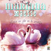 Mariana Maesse's avatar cover