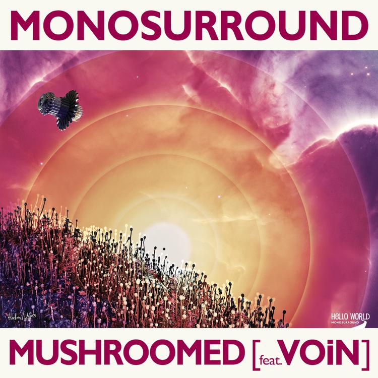 Monosurround's avatar image