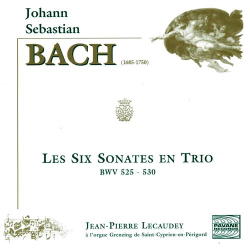 Bach: The Six Trio Sonatas BWV 525-530 Official TikTok Music