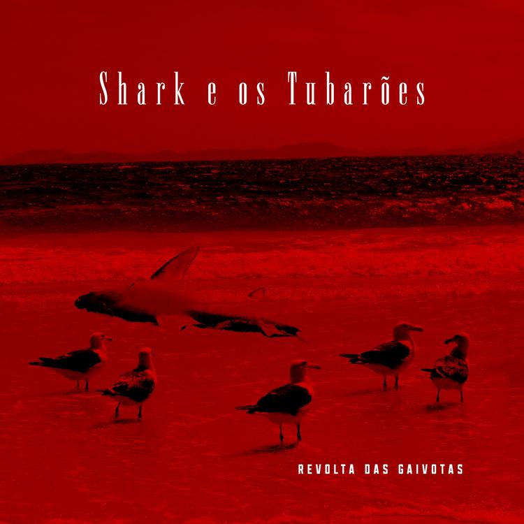Shark e os Tubarões's avatar image