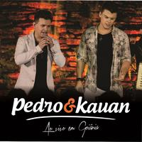 Pedro & Kauan's avatar cover