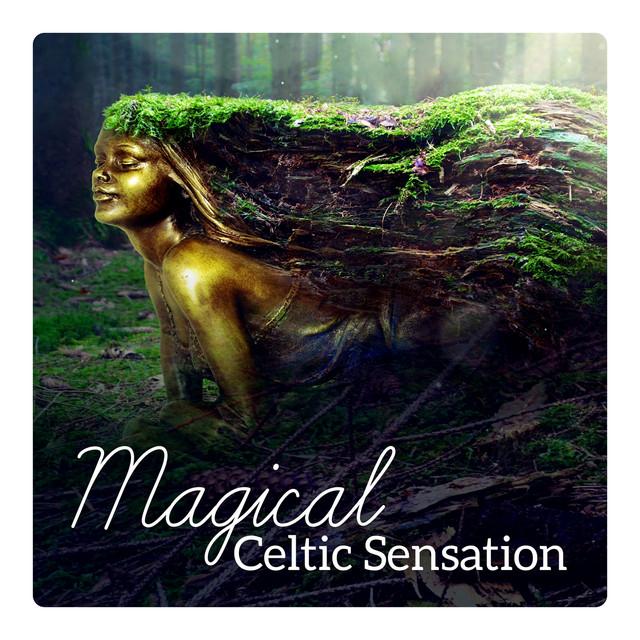 Celtic Chillout Relaxation Academy's avatar image