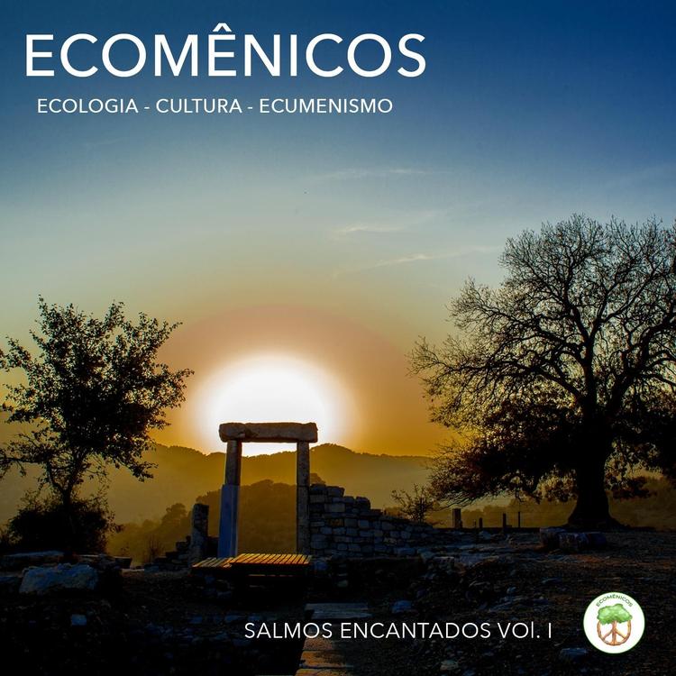 Ecomênicos's avatar image