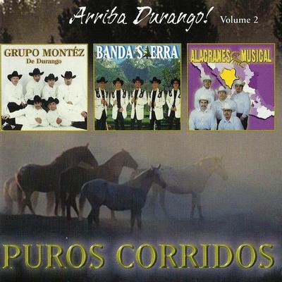 Arriba Durango, Vol. 2's cover