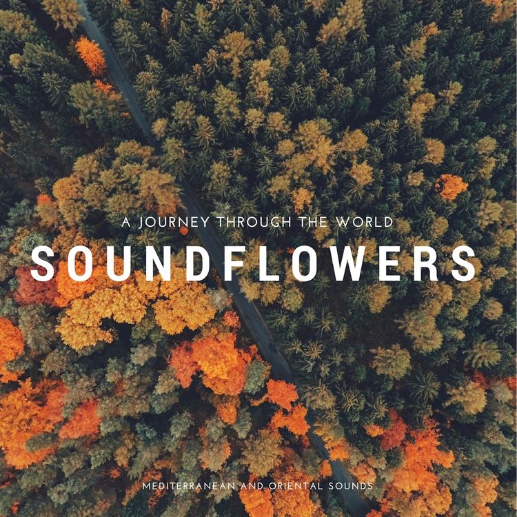 Soundflowers's avatar image