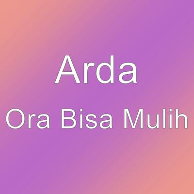 ARDA's cover