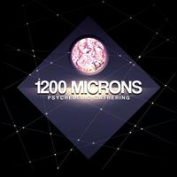 1200 Microns's avatar cover