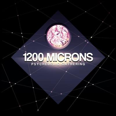 1200 Microns's cover