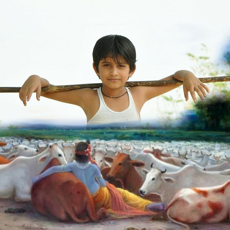 Krishna Shinde's avatar image
