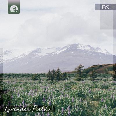 Lavender Fields By B9's cover