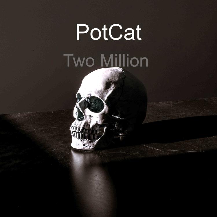 Potcat's avatar image