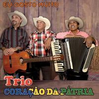 Trio Coração Da Patria's avatar cover