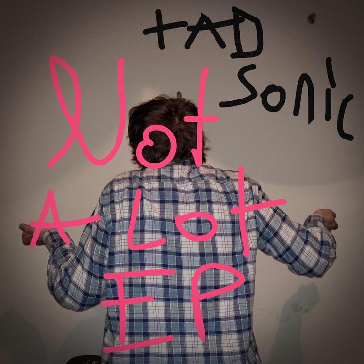 Tad Sonic's avatar image