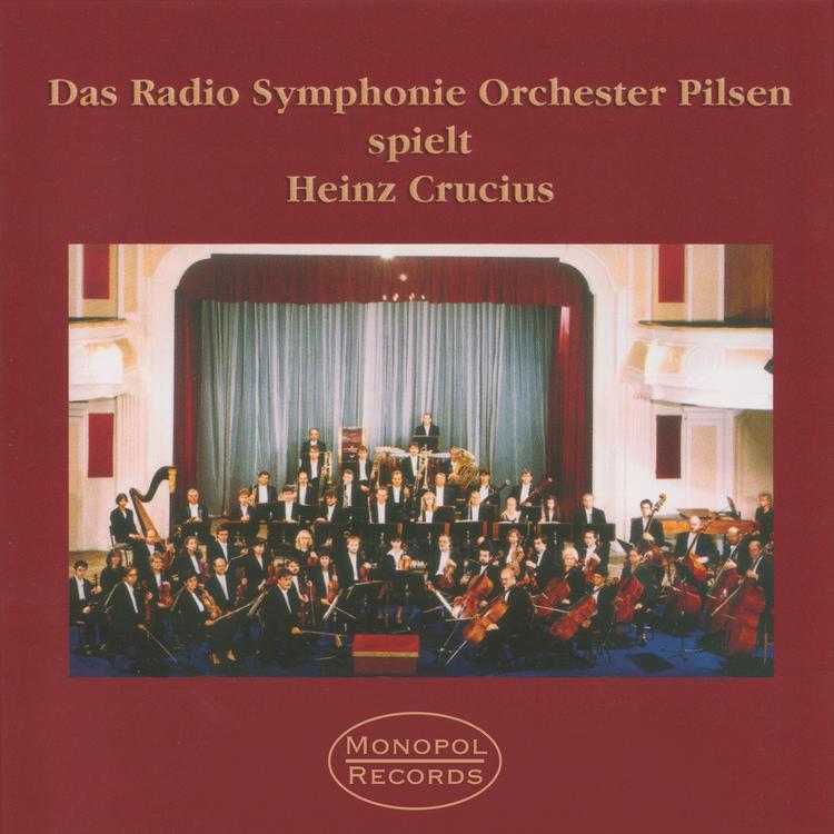 Radio Symphonie Orchester Pilsen's avatar image