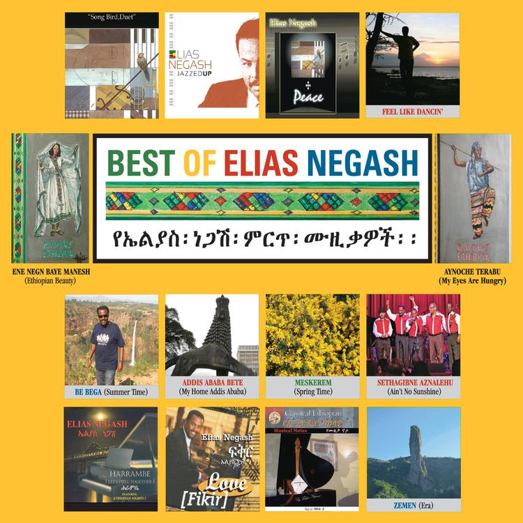 Elias Negash Orchestra's avatar image