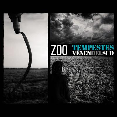 Imperfeccions (amb Los Chikos del Maíz i At Versaris)'s cover